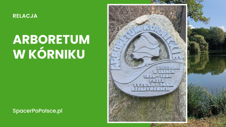 Arboretum w Kórniku – co zobaczyć, ceny biletów i jak najlepiej dojechać?